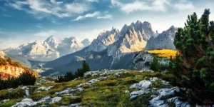 Bavarian alps with snowy mountain tops and pine tree in the foreground