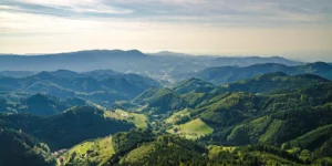 aerial high view of the Black Forest with trees and hills