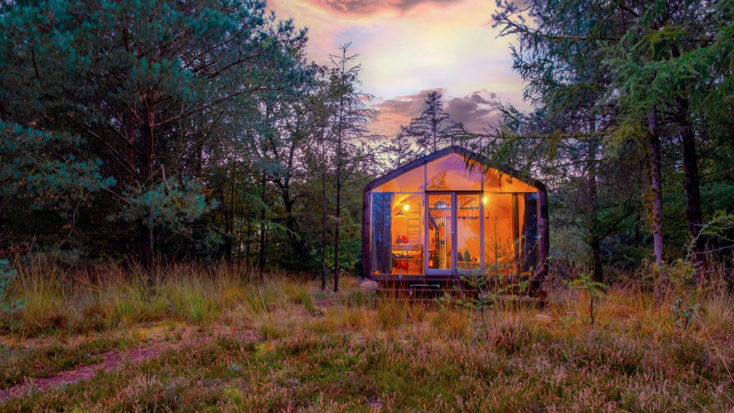 small log cabin with lights on in the woods